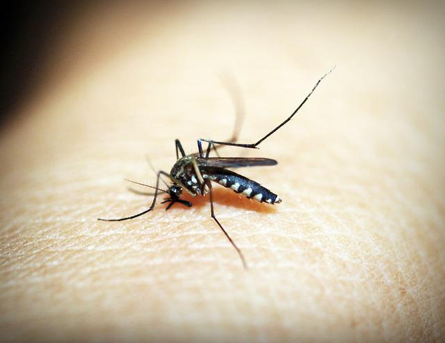 Prskanje komaraca na teritoriji opštine Kovin